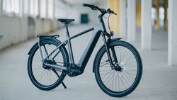 synqup-112300-O-00.jpg synqup-112300-O-00.jpg