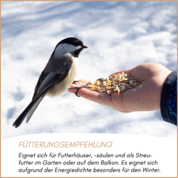 04-emotionales-bild-mit-qualitaet.png 04-emotionales-bild-mit-qualitaet.png