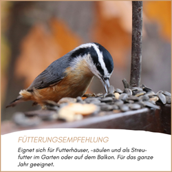 04-emotionales-bild-mit-qualitaet.png 04-emotionales-bild-mit-qualitaet.png