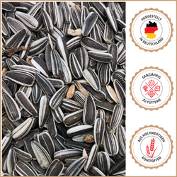 05-produkt-mit-siegel-ohne-verpackung.png 05-produkt-mit-siegel-ohne-verpackung.png