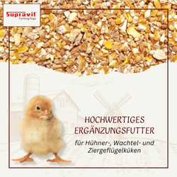 kuekengruetze-01.png kuekengruetze-01.png