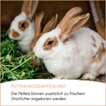 hasen-kaninchenfutter-pellets-04.png