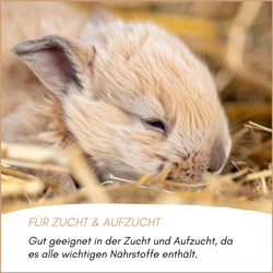 hasen-kaninchenfutter-pellets-03.png hasen-kaninchenfutter-pellets-03.png