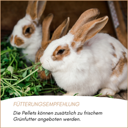 hasen-kaninchenfutter-pellets-04.png hasen-kaninchenfutter-pellets-04.png