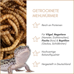 01-qualitaeten.png 01-qualitaeten.png