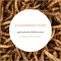 02-zusammensetzung.png 02-zusammensetzung.png