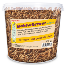 mehlwuermer-100g-eimer.png mehlwuermer-100g-eimer.png