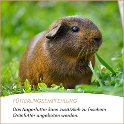 nagerfutter-04.png nagerfutter-04.png