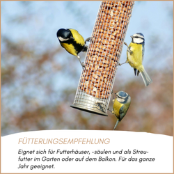 04-emotionales-bild-mit-qualitaet_1.png 04-emotionales-bild-mit-qualitaet_1.png