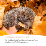 04-emotionales-bild-mit-qualitaet--2-.png