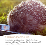 04-emotionales-bild-mit-qualitaet.png