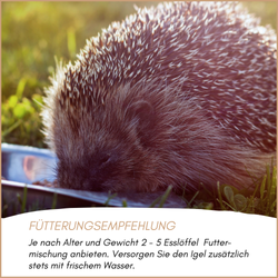 04-emotionales-bild-mit-qualitaet.png 04-emotionales-bild-mit-qualitaet.png