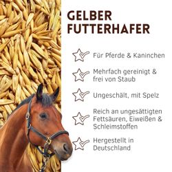 01-uebersicht.jpg 01-uebersicht.jpg