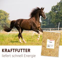 02--2-.jpg 02--2-.jpg