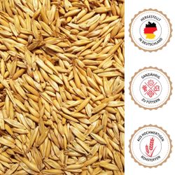 07-abschluss.jpg 07-abschluss.jpg