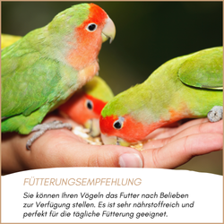 04-emotionales-bild-mit-qualitaet.png 04-emotionales-bild-mit-qualitaet.png