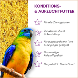 01-qualitaeten.png 01-qualitaeten.png