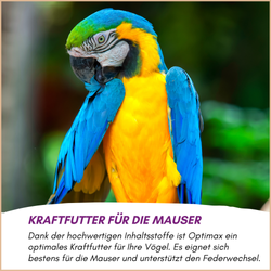 05-emotionales-bild-mit-qualitaet.png 05-emotionales-bild-mit-qualitaet.png