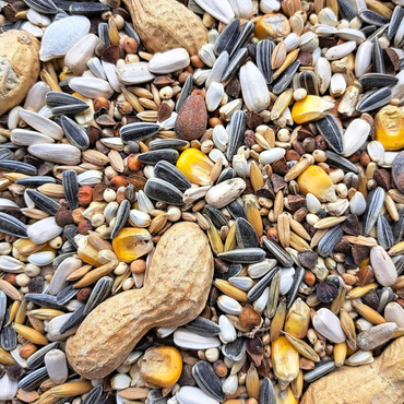 Supravit Papageienfutter