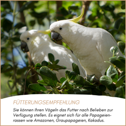 04-emotionales-bild-mit-qualitaet.png 04-emotionales-bild-mit-qualitaet.png