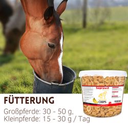 05-banane.jpg 05-banane.jpg