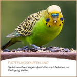 04-emotionales-bild-mit-qualitaet.png