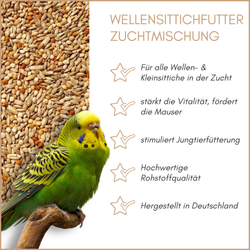 01-qualitaeten.png 01-qualitaeten.png