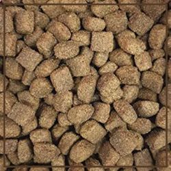 Supravit Trockenfutter Hund Lamm & Reis