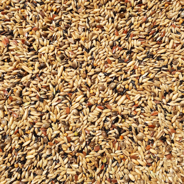 Supravit Kanarienfutter ohne Rübsen