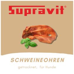 61E39WGHHML.jpg 61E39WGHHML.jpg