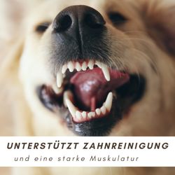 61hoCUz-xIL.jpg 61hoCUz-xIL.jpg