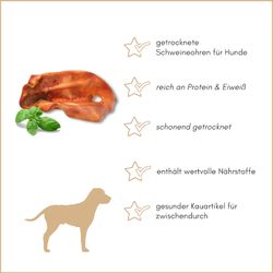 61mueexen3L.jpg 61mueexen3L.jpg