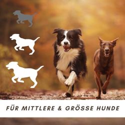 71c8tRi-dIL.jpg 71c8tRi-dIL.jpg