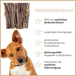 71gNCWbDixL.jpg 71gNCWbDixL.jpg