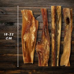 81vsTulFH2L.jpg 81vsTulFH2L.jpg