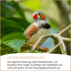 04-emotionales-bild-mit-qualitaet.png 04-emotionales-bild-mit-qualitaet.png