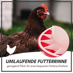 71BnM8ooDhL.jpg 71BnM8ooDhL.jpg