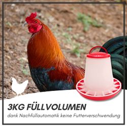 81Shn00UEkL.jpg 81Shn00UEkL.jpg