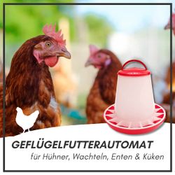 81pDA2kLg4L.jpg 81pDA2kLg4L.jpg