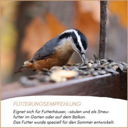 04-emotionales-bild-mit-qualitaet.png 04-emotionales-bild-mit-qualitaet.png