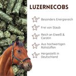 01-uebersicht-luzerne.jpg