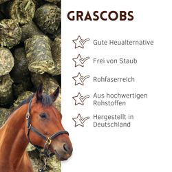 01-uebersicht-gras.jpg 01-uebersicht-gras.jpg