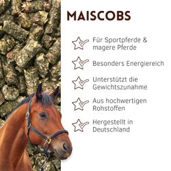 01-uebersicht-mais.jpg 01-uebersicht-mais.jpg