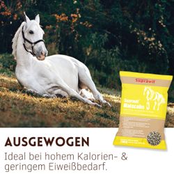 04-merkmal-mais.jpg 04-merkmal-mais.jpg