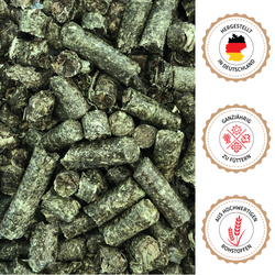 07-abschluss-luzerne.png 07-abschluss-luzerne.png