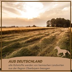 81x0I9CLJxL.jpg 81x0I9CLJxL.jpg