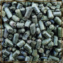 91UzQQN6XML.jpg 91UzQQN6XML.jpg