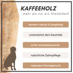 71L6CfTPoeL.jpg