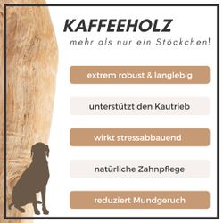 71L6CfTPoeL.jpg 71L6CfTPoeL.jpg