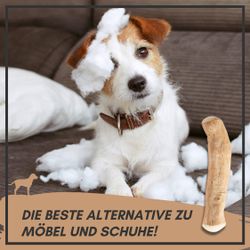 81ttS-Fa5pL.jpg 81ttS-Fa5pL.jpg